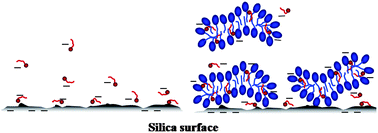 Graphical abstract: Interactions between large colloids and surfactants