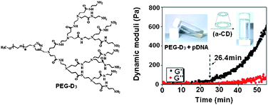 Graphical abstract: PEGylated polyamidoamine dendron-assisted encapsulation of plasmid DNA into in situ forming supramolecular hydrogel