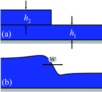 Graphical abstract: Capillary levelling as a probe of thin film polymer rheology