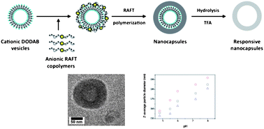 Graphical abstract: Vesicle-templated pH-responsive polymeric nanocapsules
