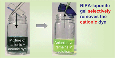 Graphical abstract: Nanoparticle-crosslinked hydrogels as a class of efficient materials for separation and ion exchange