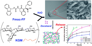 Graphical abstract: Self-assembling peptide–polysaccharide hybrid hydrogel as a potential carrier for drug delivery