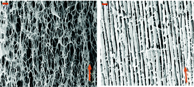 Graphical abstract: The morphology and mechanical properties of layer structured cellulose microfibril foams from ice-templating methods