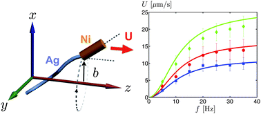 Graphical abstract: High-speed propulsion of flexible nanowire motors: Theory and experiments