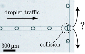Graphical abstract: Droplet traffic regulated by collisions in microfluidic networks