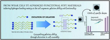 Graphical abstract: Refining hydrogelator design: soft materials with improved gelation ability, biocompatibility and matrix for in situ synthesis of specific shaped GNP