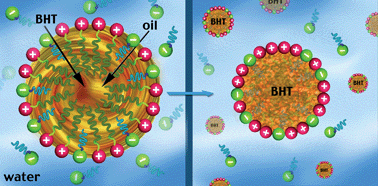 Graphical abstract: Formation of solid organic nanoparticles from a volatile catanionic microemulsion