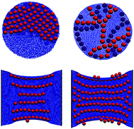 Graphical abstract: Soft elastic surfaces as a platform for particle self-assembly