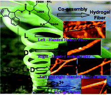 Graphical abstract: Multicomponent hydrogels from enantiomeric amino acid derivatives: helical nanofibers, handedness and self-sorting