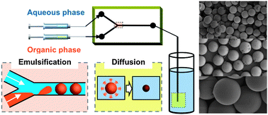 Graphical abstract: Continuous fabrication of monodisperse polylactide microspheres by droplet-to-particle technology using microfluidic emulsification and emulsion–solvent diffusion