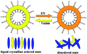 Graphical abstract: Light-responsive block copolymer vesicles based on a photo-softening effect