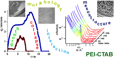 Graphical abstract: Growth-collapse mechanism of PEI-CTAB films at the air–water interface