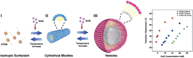 Graphical abstract: Thermally responsive vesicles based on a mixture of cationic surfactant and organic derivative below the CMC