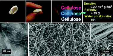 Graphical abstract: Ultralight and highly flexible aerogels with long cellulose I nanofibers