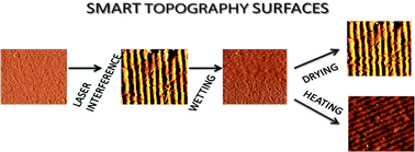 Graphical abstract: Smart surfaces: reversible switching of a polymeric hydrogel topography