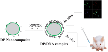 Graphical abstract: Surface modification of crosslinked dextran nanoparticles influences transfection efficiency of dextran–polyethylenimine nanocomposites