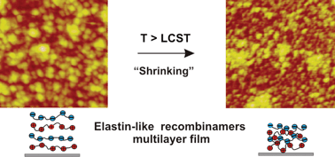 Graphical abstract: Thermoresponsive multilayer films based on ionic elastin-like recombinamers