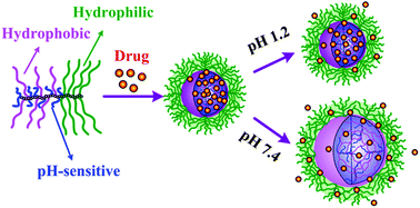 Graphical abstract: Amphiphilic copolymer brush with random pH-sensitive/hydrophobic structure: synthesis and self-assembled micelles for sustained drug delivery