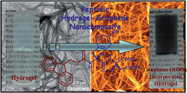Graphical abstract: Short peptide based hydrogels: incorporation of graphene into the hydrogel