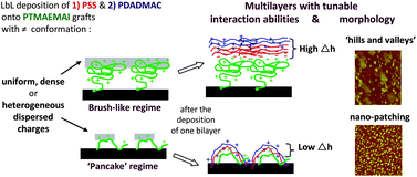 Graphical abstract: ‘Pancake’ vs. brush-like regime of quaternizable polymer grafts: an efficient tool for nano-templating polyelectrolyte self-assembly