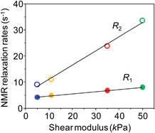 Graphical abstract: Linear dependency of NMR relaxation rates on shear modulus in hydrogels