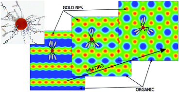 Graphical abstract: Temperature-controlled liquid crystalline polymorphism of gold nanoparticles