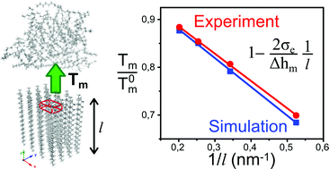 Graphical abstract: Melting of polymer nanocrystals: a comparison between experiments and simulation
