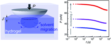 Graphical abstract: Spherical indentation testing of poroelastic relaxations in thin hydrogel layers