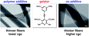 Graphical abstract: Using polymeric additives to enhance molecular gelation: impact of poly(acrylic acid) on pyridine-based gelators