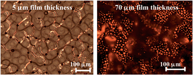 Graphical abstract: Reversible long range network formation in gold nanoparticle - nematic liquid crystal composites