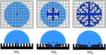 Graphical abstract: Effect of softness of polydimethylsiloxane on the hydrophobicity of pillar-like patterned surfaces