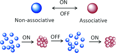 Graphical abstract: Dynamic self-assembly of photo-switchable nanoparticles