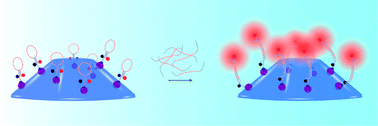Graphical abstract: Surface-patterned microgel-tethered molecular beacons