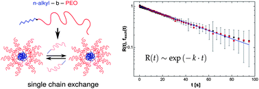 Graphical abstract: Equilibrium exchange kinetics in n-alkyl–PEO polymeric micelles: single exponential relaxation and chain length dependence