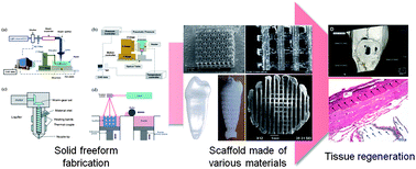 Graphical abstract: Solid freeform fabrication technology applied to tissue engineering with various biomaterials