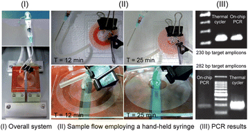 Graphical abstract: Hand-held syringe as a portable plastic pump for on-chip continuous-flow PCR: miniaturization of sample injection device