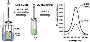 Graphical abstract: (CdSe/ZnS QDs)-ionic liquid-based headspace single drop microextraction for the fluorimetric determination of trimethylamine in fish