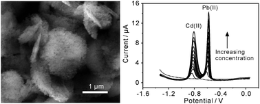 Graphical abstract: Stripping voltammetry study of ultra-trace toxic metal ions on highly selectively adsorptive porous magnesium oxide nanoflowers