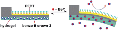Graphical abstract: Highly sensitive and selective detection of beryllium ions using a microcantilever modified with benzo-9-crown-3 doped hydrogel