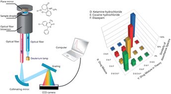 Graphical abstract: Rapid and on-site analysis of illegal drugs on the nano–microscale using a deep ultraviolet-visible reflected optical fiber sensor