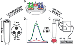 Graphical abstract: Individually addressable electrode array for multianalyte electrochemiluminescent immunoassay based on a sequential triggering strategy