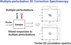 Graphical abstract: Parallel factor (PARAFAC) kernel analysis of temperature- and composition-dependent NMR spectra of poly(lactic acid) nanocomposites