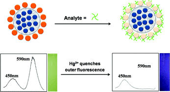 Graphical abstract: Dual-emission quantum dots nanocomposites bearing an internal standard and visual detection for Hg2+