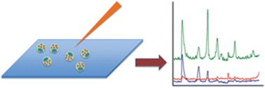 Graphical abstract: Sampling techniques for single-cell electrophoresis