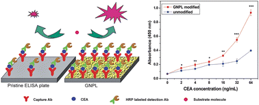 Graphical abstract: Sensitive sandwich ELISA based on a gold nanoparticle layer for cancer detection