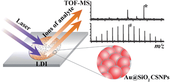 Graphical abstract: Au@SiO2 core–shell nanoparticles for laser desorption/ionization time of flight mass spectrometry