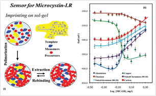 Graphical abstract: Determination of Microcystin-LR in waters in the subnanomolar range by sol–gel imprinted polymers on solid contact electrodes