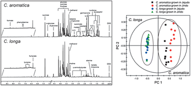 Graphical abstract: Metabolite profiling of Curcuma species grown in different regions using 1H NMR spectroscopy and multivariate analysis