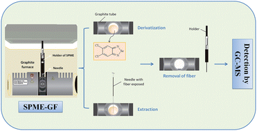 Graphical abstract: Determination of Se using a solid-phase micro-extraction device coupled to a graphite furnace and detection by gas chromatography-mass spectrometry