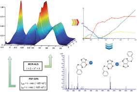 Graphical abstract: Application of different chemometric strategies to voltammetric and UV-vis spectroscopic data to obtain a complexation model: study of the Cu(ii) binding with the phytohormone 6-benzylaminopurine